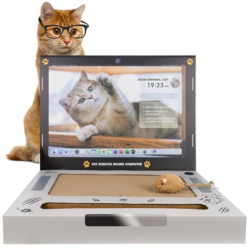 Katzenkratzer, Laptop-Spielzeug