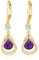 Gold Ohrringe Geburtsstein hängend ohrringe 14K gold hängend gold ohrringe Feine Schmuckstücke Geburtstagsgeschenke für Frauen(Gold Februar)