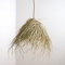 Bohome Living - Suspension Bohème en Paille, Plafonnier Lampe de Chevet, Suspension Luminaire, Fait Main (XS 30cm)