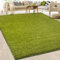 casa pura - Tapis Shaggy - Tapis à Poils Longs - Tapis Doux et épais - Qualité Allemande - Tapis Moelleux pour Salon et Chambre - Barcelona (Vert, 80 x 150 cm)