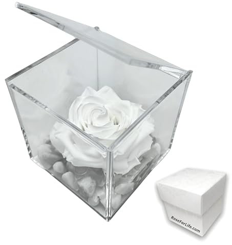 PremiumRose Cubo Rosa Stabilizzata Bianca Profumata da 10cm con Marmo di Carrara | Idea Regalo Mamma, Fidanzata, Amica, Idea Regalo per Compleanno, Laurea | Made in Italia (Bianco 1018)