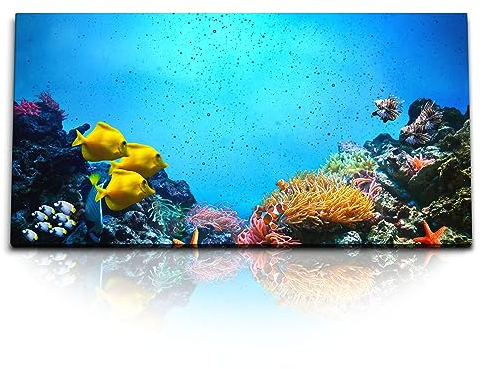 Paul Sinus Kunstdruck Bilder 120x60cm Korallenriff Korallen unter Wasser Fotografie Fische