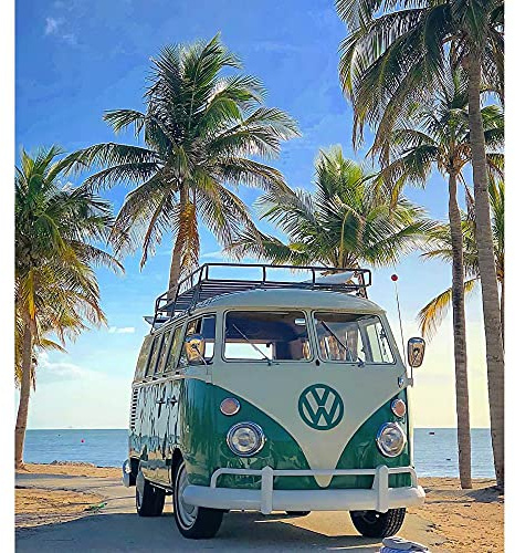 ZHXXFD Malen Nach Zahlen Erwachsene Mit Rahmen Landschaft Bus Kinder Malen Nach Zahlen Set Anfänger Ölgemälde Leinwand Paint By Numbers Adult DIY Acrylfarben Gemälde Set(A53)