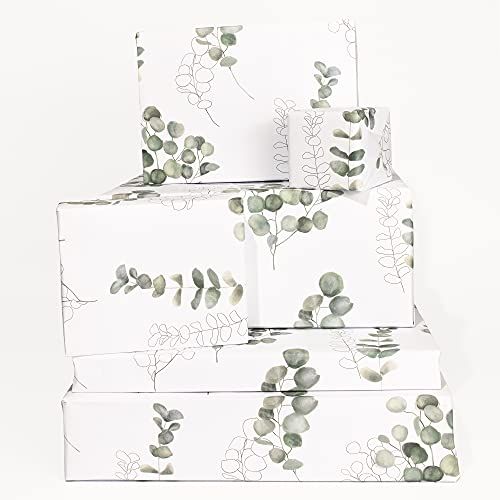 Central 23 - Hübsches Geschenkpapier für Sie - 6 Blatt Geschenkpapier - Für Herren Damen - Eukalyptus - Grün Weiß - Recycelbar