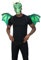 Smiffys Kit dragon vert, avec masque et ailes