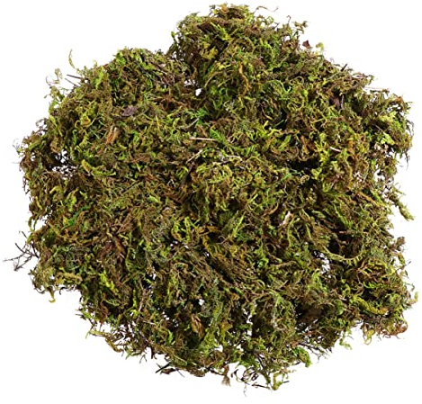 DECHOUS Fake Moss, 120g Artificial Moss for Plant Pots, Faux Moss Indoor Plants Decorative Moss Natural Moss Decor Artificial Moss for Crafting Planters Garden