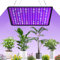 YAHAMOO La più recente lampada da coltivazione a LED YE1000, lampada per piante LED a spettro completo con UV IR, lampade per piante Lampada da coltivazione a LED per fiori per serra e piante da inter