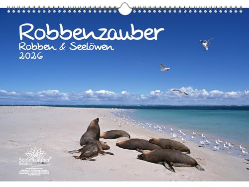 Robbenzauber DIN A3 Kalender für 2026 Robben und Seelöwen - Set Inhalt: 1x Kalender 1x Weihnachtsanhänger 1x Grußanhänger (gesamt 3 Teile)