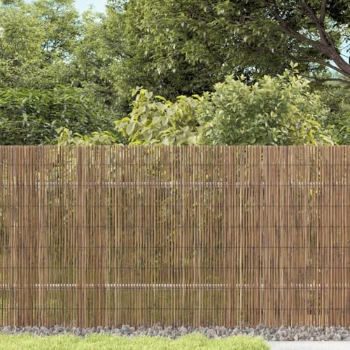 zylophax Clôture de jardin en roseau naturel 1000 x 80 cm panneau brise vue occultation pour terrasse balcon jardin extérieur séparation intimité protection sécurité