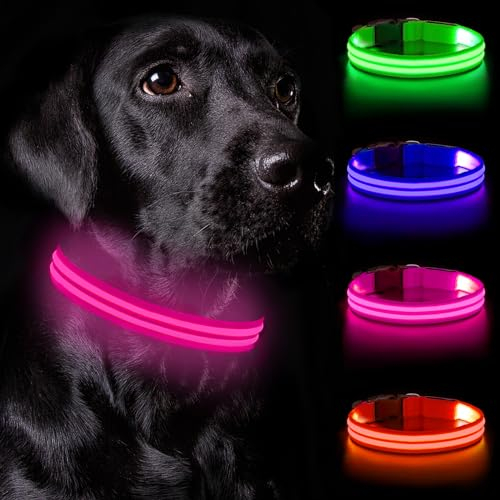 Nepfaivy Leuchthalsband Hund USB Aufladbar - Hundehalsband Leuchtend Wasserdicht mit Verstellbarer Länge, LED Halsband Hund für Kleine Hunde mit 3 Beleuchtungsmodi für Nacht Sicherheit, Rosa - S