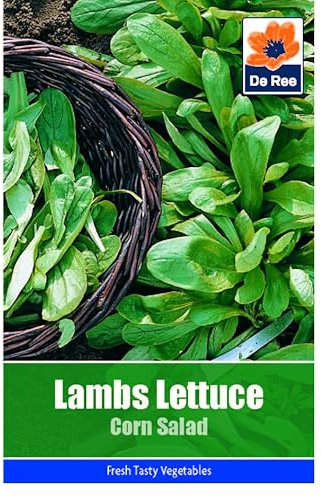 Vegetable Seeds for Growing Lambs Lettuce Corn Salad 255 Seeds Grow Your Own Garden Vegetable Salad Herb Seed