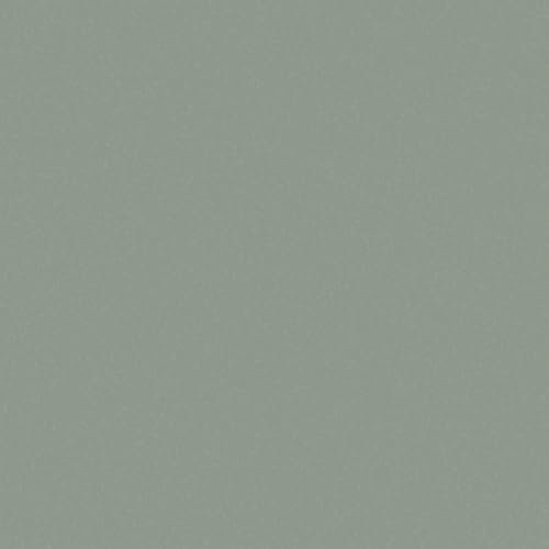 Laurel Green Plain Colour Vinyl Flooring 2mm R11 Anti-Slip Foam Backed Lino for Kitchen Bathroom Hall (2m x 2m)