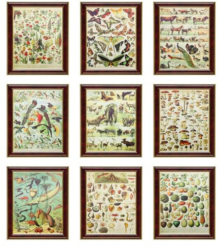 CATELL 9 Pcs Posters For Bedroom Aesthetic 8 x 10inch Vintage Postcards Vintage Aesthetic Posters Vintage Botanical Wall Collage Kit Botanical Prints for Dorm Photo Display