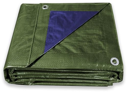 ESTO Telo Impermeabile Verde Esterno, Telone Occhiellato 100g/mq Telo Protettivo Multiuso per Auto, Barche, Piscina, Giardino (10x12 Metri)