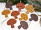 LB H&F 9 x Anhänger Holz Herbstdeko Pilze (B)