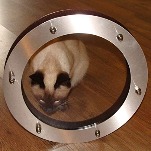 Portilla para puerta plana INOX 230 mm de vidrio transparente Tuercas Acoplamiento