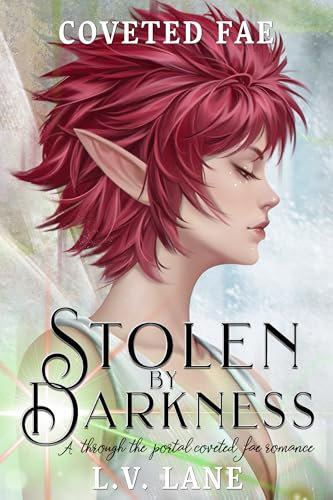 Stolen by Darkness: A through the portal coveted fae romance (English Edition)