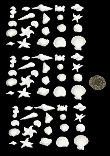 60 x edible 3D seashells sea shells, icing toppers, cake cupcakes decorations (White)