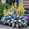 Hosta-Zwiebeln,GroßE Blattpflanzen,Hosta Pflanze Winterhart,Winterhart MehrjäHrig,Funkien Knollen-4zwiebeln-F