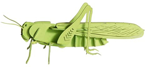Fridolin 11608 3D-Papiermodell - Heuschrecke