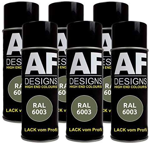 6 X RAL vernice spray per auto vernice colorata vernice spray RAL 6003 verde oliva opaco
