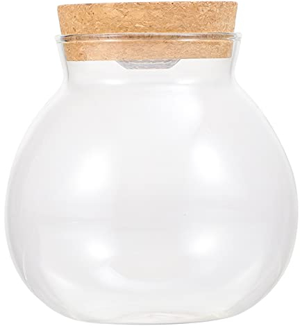 Liège Micro Paysage Bouteille écologique Verre Transparent Installation Terrarium Conteneur Poisson Réservoir Rond Verre Aquarium Boule Nuit Lumières