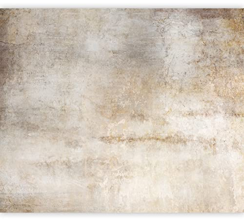 murando - Fototapete Selbstklebend Steintapete 343x256 cm - Foto Tapete Tapetenfolie Möbelfolie Wandverkleidung Wandtapete Motivtapeten Wohnzimmer Schlafzimmer 3d Modern - Betonoptik f-A-10084-a-a