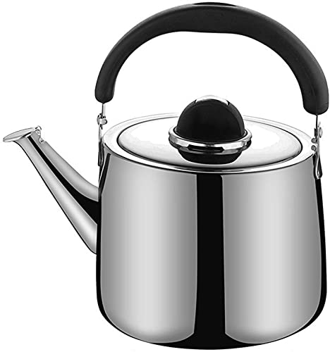 Hervidor de té de Teteras de té que silban Tetera de té que silba Mango Hervidores de camping for agua hirviendo for varias estufas Tetera de 220114 (Color : Silver, Size : 4L)