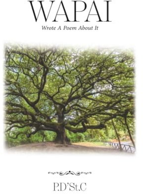 WAPAI: Wrote A Poem About It