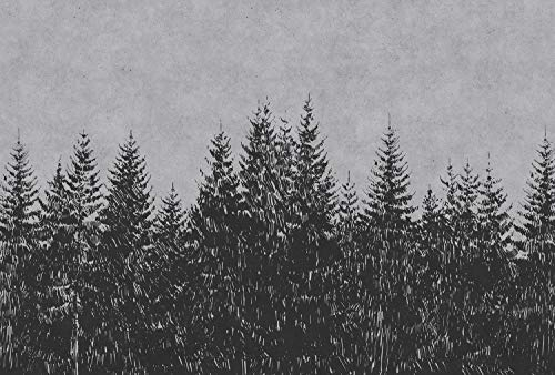 KunstLoft Tapete 'Black Forest 3' 400x270cm Fototapete modern