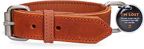 Spotted! PRO Lederhalsband - Hundehalsband mit QR-Pin - Halsband mit Magnetverschluss - Wasserdicht - Größe M - 50 cm – Cognac/Hellbraun