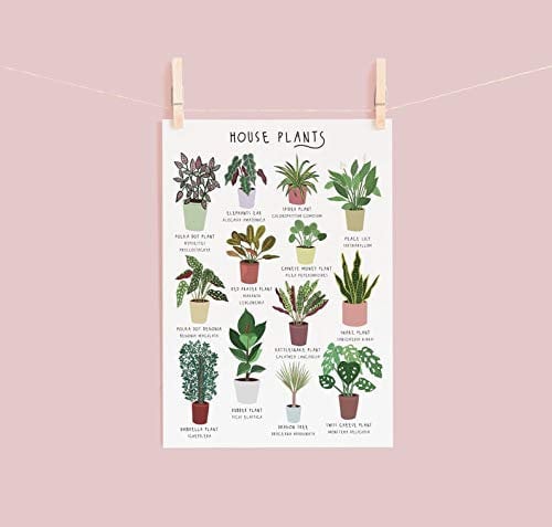 Biopracess House Plant Botanical House Plant Posters Plant Lady Poster Cacti Indoor Plants Plant Lover Gift Funny Gift Metal Signs 8x12 inch