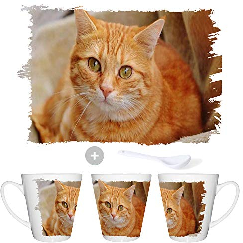 MERCHANDMANIA TAZA CONICA GATO TABBY NARANJA MUY MONO conic mug
