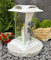 Grablaterne Grablampe Grableuchte Rose Weiss Silber Grabschmuck Grablicht Kerze Lampe Laterne Licht Trauer Friedhof Garten Rosen Grabdeko
