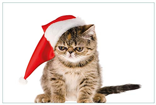 Wallario Küchenrückwand selbstklebend 90 x 60 cm, Motiv: Ich Hasse Weihnachten - mürrische Katze mit Weihnachtsmütze | Spritzschutz abwischbar & pflegeleicht