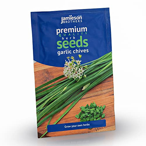 Jamieson Brothers® Garlic Chives Herb Seeds (Approx. 55 Seeds) - Premium Quality Seeds to Grow Your Own Food at Home, in The Garden Or at The Allotment
