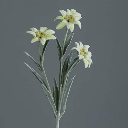 mucplants künstliches Alpen Edelweiß mit 3 Blüten ca. 30cm Cream Kunstblume Alpenblume