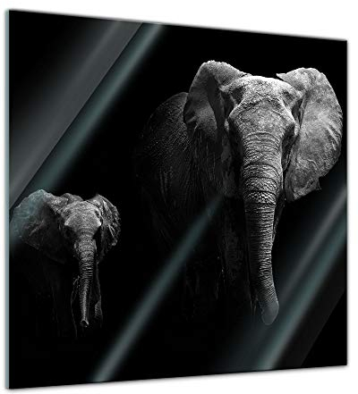 Bilderdepot24 Tableau en Verre Motif éléphants Noir/Blanc, 30 cm x 30 cm