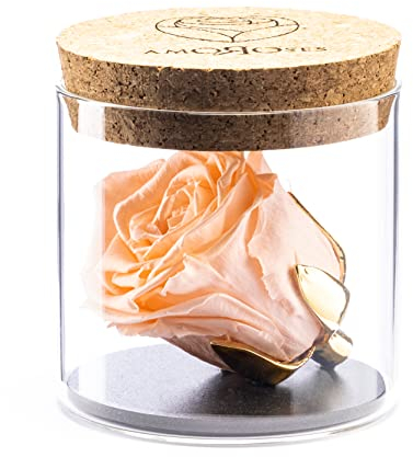 Amoroses Bijou - Rosa Stabilizzata Eterna con calice placcato oro 24K in barattolo di vetro | Idea Regalo (Rosa Pesca)