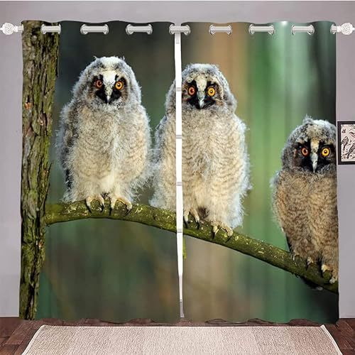 loyaltyer Gardinen WeißE Eule Vorhang 3D Weicher Blickdichte Vorhänge Thermovorhang Kälteschutz Schlaufenschal 2er Set mit Ösen für Schlafzimmer Wohnzimmer Kinderzimmer, 245x140 cm(HxB)