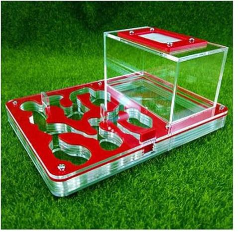 AMULONG Ameisenfarm Nistkasten, Acryl-Ameisenfarm, Kreative Ameisennestfarm, Weckt Interesse An Der Wissenschaft, Ameisenburg Ameisenhaus(Rood)