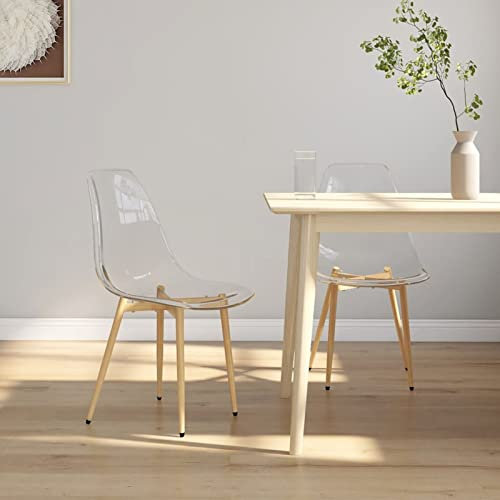 TANZEM Esszimmerstühle 2 STK. Transparent PET, Modern, Essstuhl, Stuhl, Esszimmer, Küchenstühle, Schlafzimmerstuhl, Dinning Chair, Konferenzzimmer Stühle, Metall, Ergonomisch, Indoor