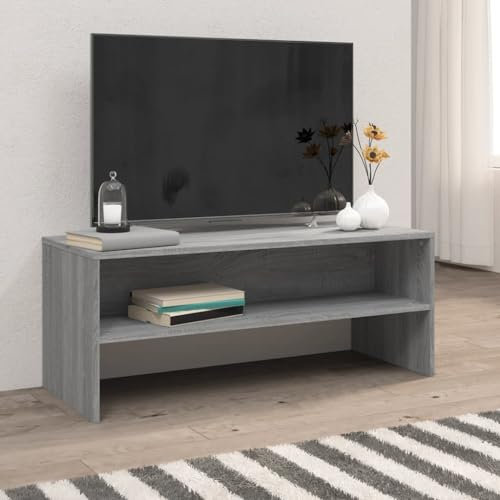 HETFTJN Mobile Porta TV, Credenza Scaffale Legno Mobile Tv Soggiorno Mobile Angolare Adatto per Cucina Ingresso Soggiorno Salotto Grigio Sonoma 100x40x40 cm in Legno Multistrato