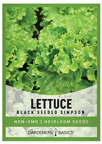 Gardeners Basics, Green Leaf Lettuce Seeds for Planting - (Black Seeded Simpson Variety) Heirloom, Non-GMO Lettuce Variety- 2 Grams Seed Great for Spring, Summer, Fall, Winter Garden and Hydroponics