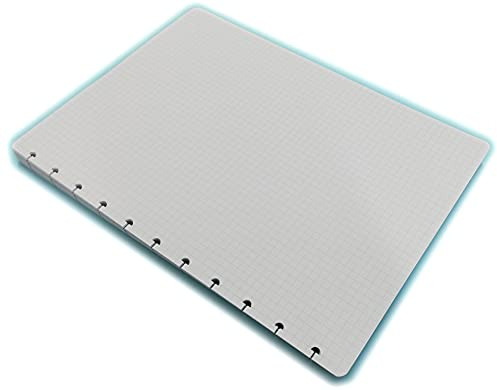 Refills Inserts for disc bound-Planer, Nachfüllpapier, 100 Blatt (200 Seiten), T-Form, Pilzform, A4, 20,5 x 29,2 cm, kariert 5 mm.