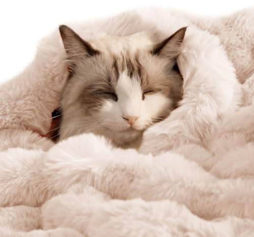 Couverture en fausse fourrure ultra douce et pelucheuse pour chat d'intérieur – Lavable en machine – Protection réversible pour canapé et meuble – 99 x 76,2 cm – Blanc