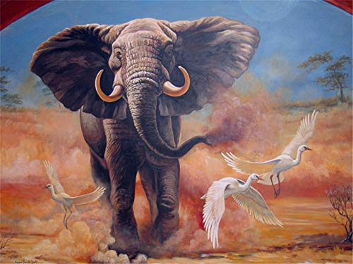 YEESAM ART DIY Ölgemälde Malen nach Zahlen Erwachsene Kinder, Elefant Weiße Vögel in der Wüste Zahlenmalerei ab 5 Öl Wandkunst (Elefant, mit Rahmen)