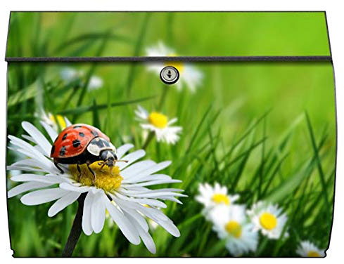 motivX-Ideenwerkstatt Briefkasten Swing Wandbriefkasten mit Motiv Marienkäfer auf grüner Wiese