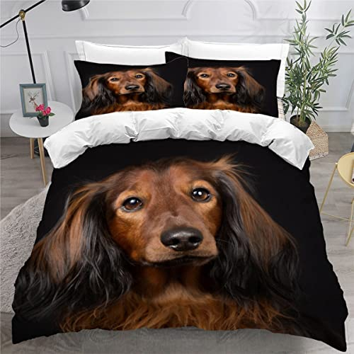 AOYNP Bettwäsche 135x200 Langhaariger Dackel Bettbezug Set 3 teilig Weich Microfaser Bettwaren Süß Tier Hund Bettwäsche-Set für Kinder Teenager ReißVerschluss Bettbezug Mit 2 Kissenbezug 80x80cm