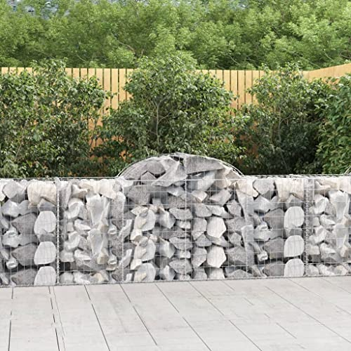 Hochbeet Schmal,Blumenkasten Balkon gabionen Mit Hochbogen 40 STK. 200x50x80/100cm Verzinktes Eisengeeignet Für Garten, Eingang, Wohnzimmer, Korridor, Büro, Balkon, Außenbereich